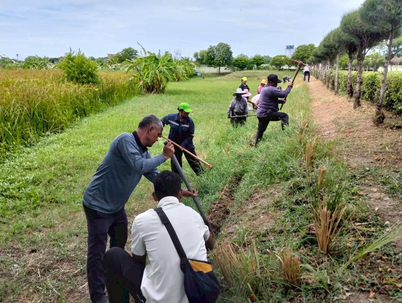title - แปลงสาธิตการปลูกแฝก หลักสูตร 